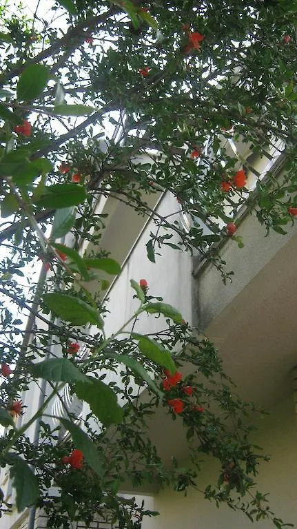 Apartments Grzunov Задар